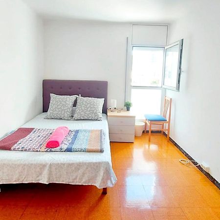 Alexmar Barcelona City Bagian luar foto